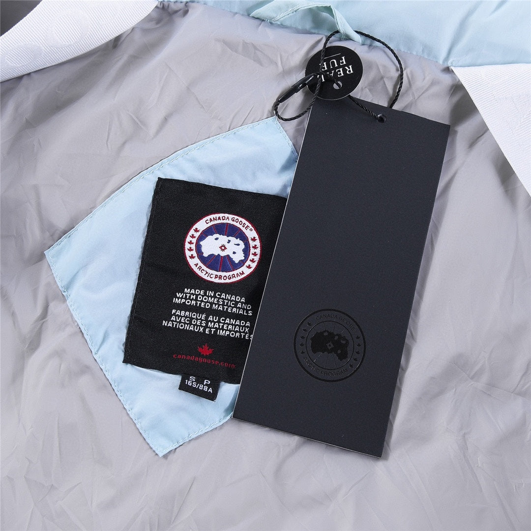 1104 | Canada Goose